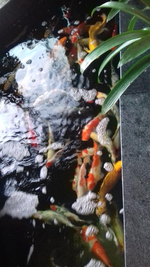 Khach San Hiep Yen Hotel Tuy Hòa Buitenkant foto