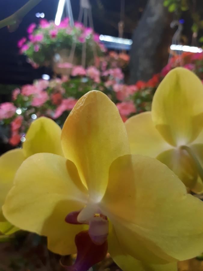 Khach San Hiep Yen Hotel Tuy Hòa Buitenkant foto